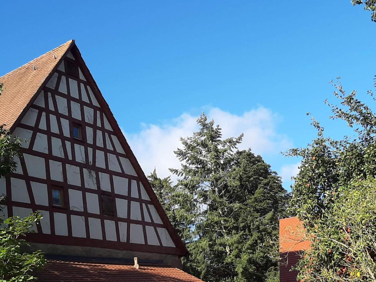 Ferienwohnung Kunst Und Kulturschuppen Hasenmuehle Kammerstein Экстерьер фото